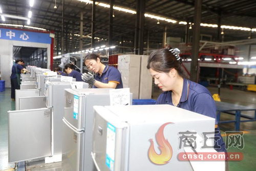 科技賦能，技術開發驅動冷產業轉型升級新篇章